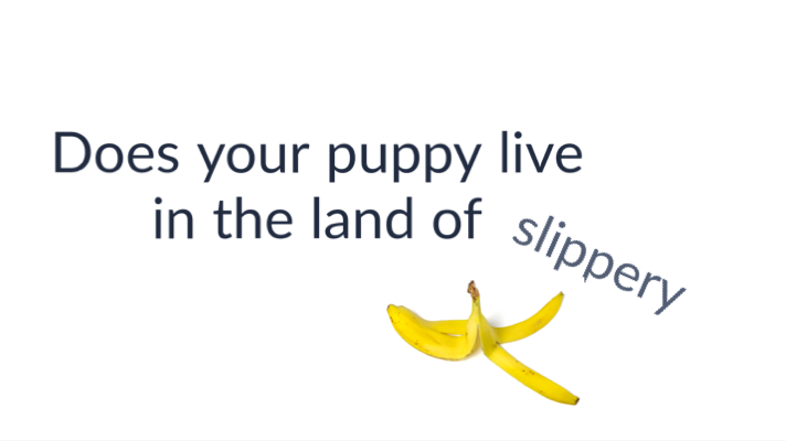 What A Dog Wants • Ultimate Puppy : Ultimate Puppy