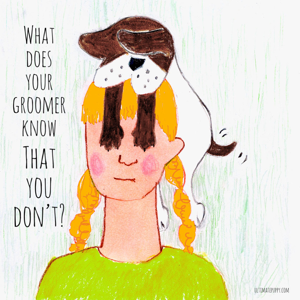 What Does Your Groomer Know That You Don’t? • Ultimate Puppy : Ultimate Puppy
