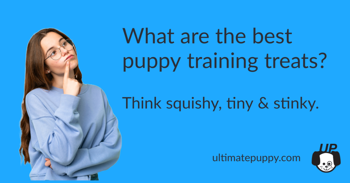 What Are The Best Puppy Training Treats? • Ultimate Puppy : Ultimate Puppy