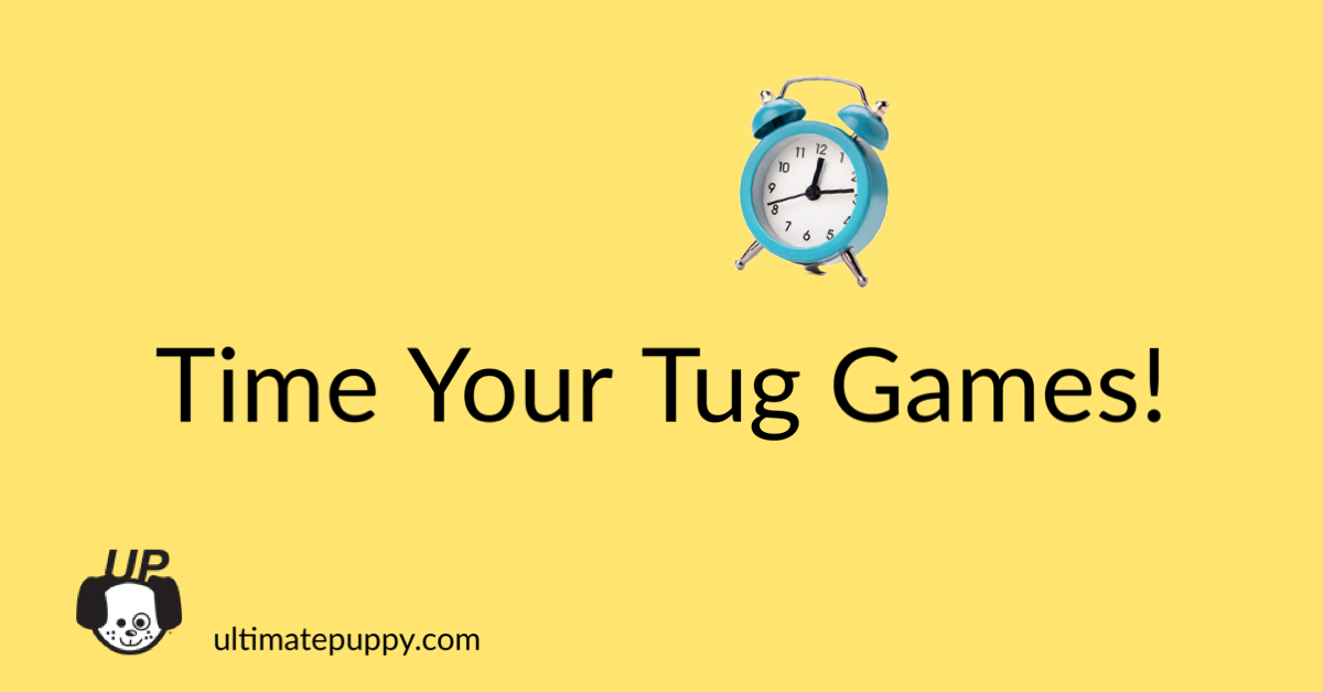 Why You Should Time Your Tug Games! • Ultimate Puppy : Ultimate Puppy